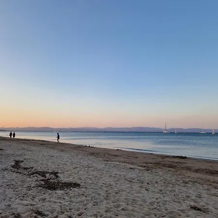 Les Flamants Roses De La Capte T3 Appartement *