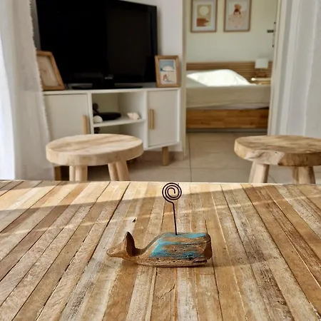 Les Flamants Roses De La Capte T3 * Hyères