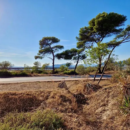 Les Flamants Roses De La Capte T3