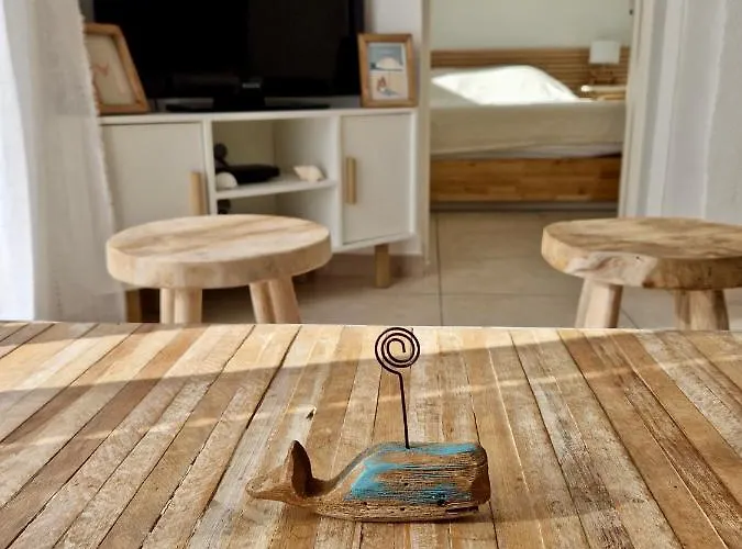 Les Flamants Roses De La Capte T3 * Hyeres