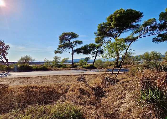 Les Flamants Roses De La Capte T3