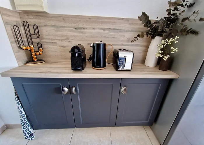 Les Flamants Roses De La Capte T3 Apartment